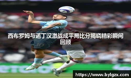 西布罗姆与诺丁汉激战成平局比分揭晓精彩瞬间回顾